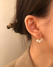 Load image into Gallery viewer, Renee Freshwater Pearl Dangle Earrings 14k gold Ball Dainty Earrings